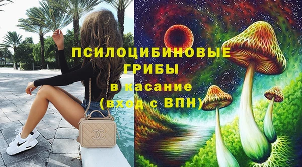 твердый Алзамай