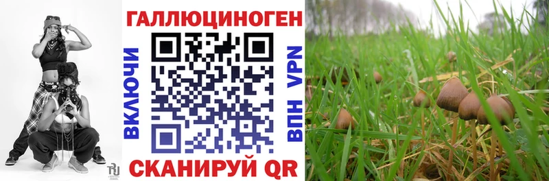 купить наркоту  Арзамас  Галлюциногенные грибы Cubensis 